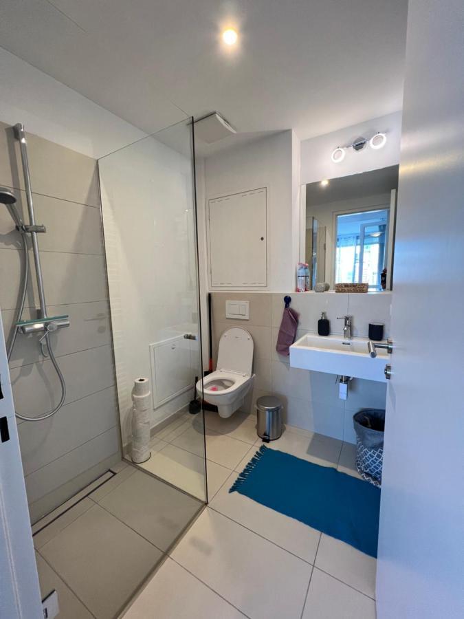 Wunderschones Apartment Vienne Extérieur photo